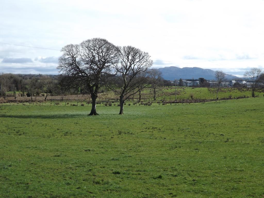 The Red Cottage & Stables Sligo Exteriör bild